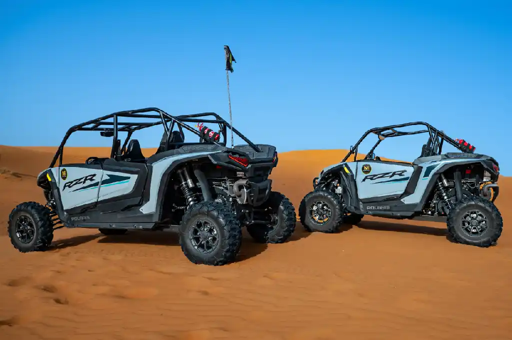 Red Dunes Afternoon Buggy Tour (Family)