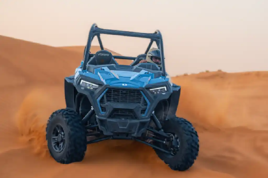 Red Dunes Afternoon Buggy Tour (Family)